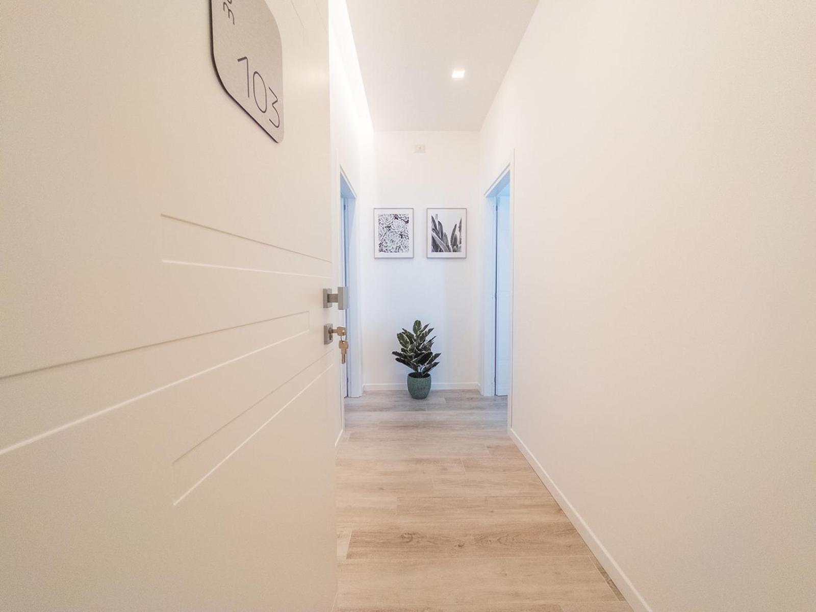 White Ottaviano Hotel Rome Exterior photo